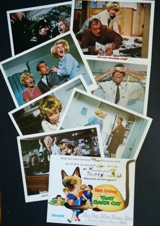 Walt Disney " That Darn Cat " Set Of 8 Movie Lobby Cards 11 " X14 "