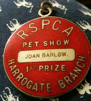 Vintage Pet Badge 1st Prize Dog Show Award Guilloche Enamel 1934 Pekingese Kitty