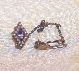 Vintage Sigma Alpha Epsilon Fraternity 10k Sweetheart Pin,  Alpha Xi Delta Quill