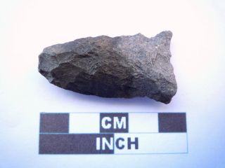 Native American Arrowhead 45mm,  Archaic Artifact,  1000bc - 8000bc (w044)