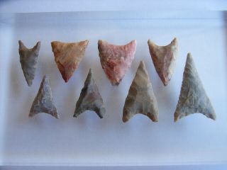 8 Ancient Neolithic Flint Arrowheads,  Stone Age,  Very Rare Top