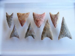 8 Ancient Neolithic Flint Arrowheads,  Stone Age,  VERY RARE TOP 2