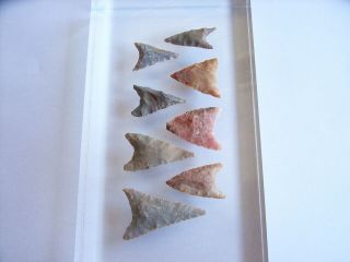 8 Ancient Neolithic Flint Arrowheads,  Stone Age,  VERY RARE TOP 3