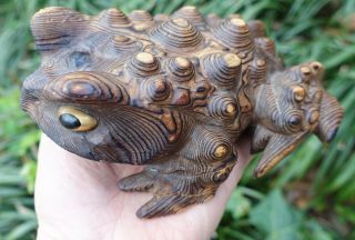 Vtg Large 6 " Hand Carved Cryptomeria Wood Toad Figurine Psychedelic Warts Wooden