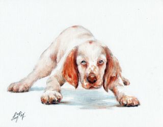 Oil Art Clumber Spaniel Portrait Painting Dog Artist Signed Artwork