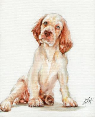 Oil Art Clumber Spaniel Portrait Painting Puppy Dog Signed Artwork