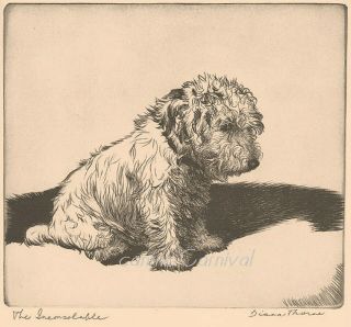 The Inconsolable Dog 1935 Print By Diana Thorne Sealyham Terrier