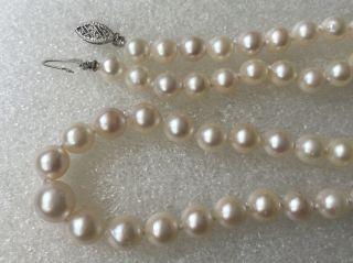 VINTAGE 9 To 6 Mm Salt Water Akoya Pearl 19”long 14 K Gold Necklace. 3