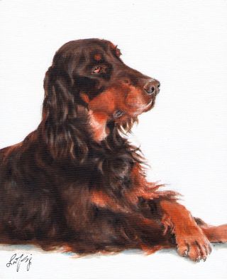 Oil Art Gordon Setter Puppy Portrait Painting Dog Artist Signed Artwork