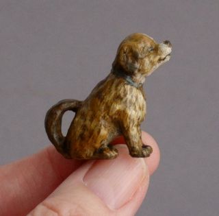Tiny Vintage Cold Painted Bronze Miniature Akita/tibetan Mastiff Puppy Dog
