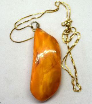 Vintage Untreated Baltic Butterscotch Amber Pendant and 14K Solid Gold Chain 2
