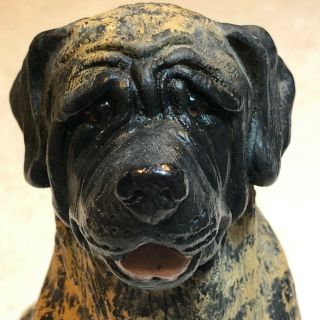 English Mastiff Dog Figurine Statue - Realistic - Signed And Numbered By Artist -