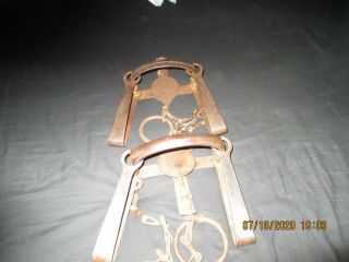 Newhouse Animal Traps 3 & 4 Double Long Springs With Stamped Springs