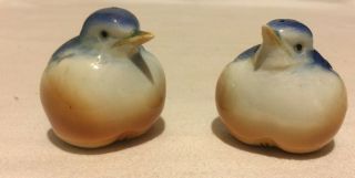 Vintage Ceramic Blue Bird Salt and Pepper Shakers 2