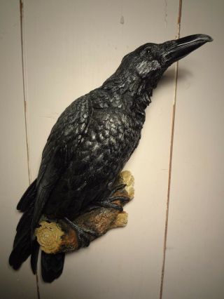 Raven On Branch Wall Decor