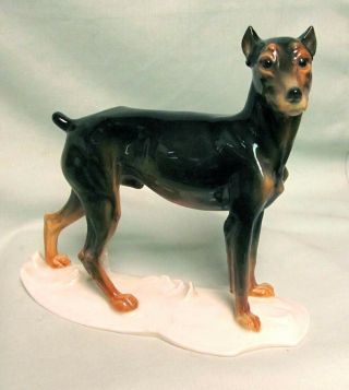 Karl Ens Doberman Pinscher Porcelain Dog Figurine Very Realistic