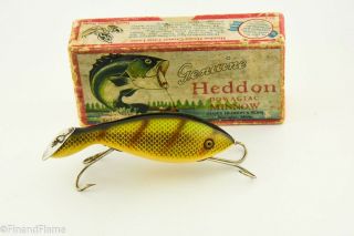 Vintage Heddon Dowagiac Tadpolly Antique Fishing Lure Perch Up Bass Jj12