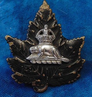 Obsolete Antique Canada Ml Beaver Canadian Toronto Police Cap Badge 2 1/4 " C