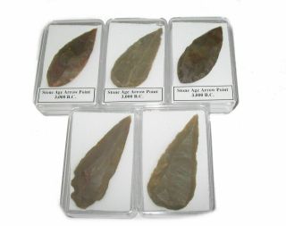 Neolithic Stone Age Tool Arrow Head Point In Gift Display Case 3000 Bc Large