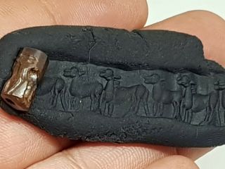 Museum Quality Ancient Sassanian Seal Cylinder 1,  8 Gr 15 Mm