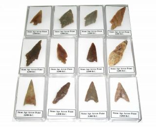 Neolithic Stone Age Tool Arrow Head Point In Display Case Great Gifts 3000 Bc
