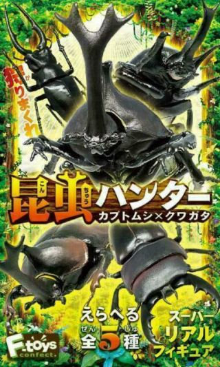 F - Toys Insect Hunter Vol18 (2018) Rhino/stag Beetles Set Of 5 Complete