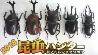 F - toys Insect Hunter Vol18 (2018) Rhino/Stag Beetles Set of 5 COMPLETE 2