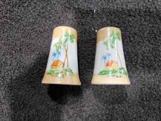 Vintage Japan Porcelain Hand Painted Luster Palm & Hut Salt & Pepper Shakers