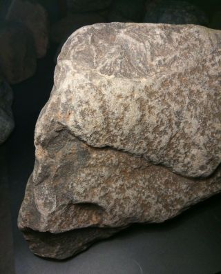 Large 16 Lb.  Prehistoric Paleo - American Rock Art Sculpture.