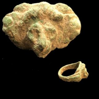Ancient Roman Bronze Lion Ring - 200 - 400 Ad (7)
