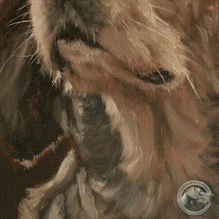 ENGLISH SETTER DOG PORTRAIT OIL PAINTING by Master Artist JOHN SILVER 3