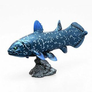 Favorite Coelacanth Soft Model Fish Figure Ff - 001 F/s W/tracking From Japan