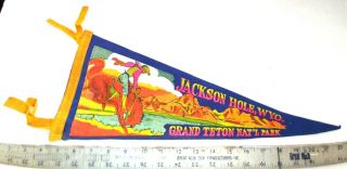 Vintage Jackson Hole Wyoming Grand Titon National Park Felt Pennant 17.  5 " {cm143