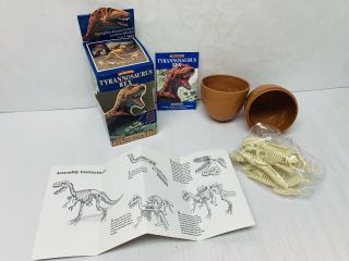 Tyrannosaurus Rex Tiny Perfect Dinosaur Book Skeleton & Egg Vintage Collectible
