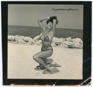 Bunny Yeager Vintage Bettie Page Photograph 1954 Sexy Bikini Bathing Beauty Pose