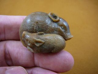 (tb - Pig - 2) Little Tan Pig Mama,  Baby Tagua Nut Palm Figurine Bali Carving Pigs