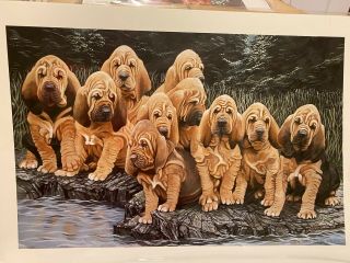 Bloodhound Limited Edition Signed Numbered 11x14 Print By Van Loan