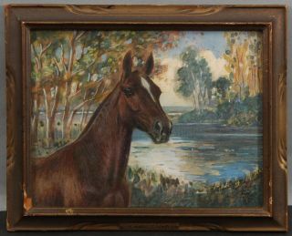 Small Antique Gouache Watercolor Equestrian Horse Portrait Painting Carved Frame