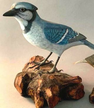 Vintage Hand Carved & Painted Blue Jay Solid Wood,  Life Size Mounted Burn Wood