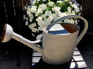 Large 3 Gallon Vintage Galvanized Metal Watering Can Rose Sprinkler Oval Shaped