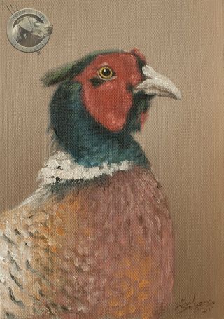 Pheasant Oil Painting By Award Winning Leading Uk Artist John Silver Ba