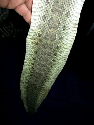 Rattlesnake Skin Prairie Rattle Snake Hide Dry Tanned Wrap Pen Blanks 45 In C1