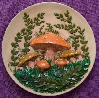 Vintage Mushroom Plates Ob 