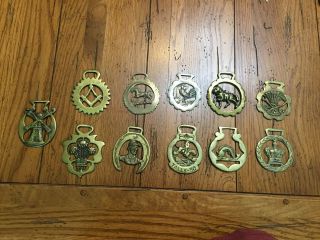 (11) Vintage Horse Saddle Harness Bridle Brass Shoe Medallions Tally - Ho.  More