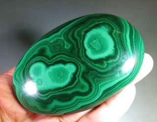 3.  15 " Natural Green Malachite Polished Palm Stone Gemstone Gift 3398