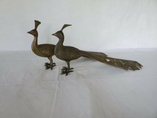 16 " X9 " Set Of 2 Brass Peacock Antique Bird Animal Figure Heavy Solid.  Detailed