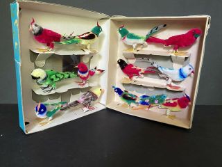 12 Vintage Chenille Birds Boxed Christmas Tree Decorations Ornaments,  China