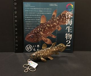 Kitan Club Deep Sea Indonesia Coelacanth Sp Pvc Fossil Fish Keychain Figure