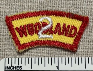 Vintage Camp Woodland Boy Scout 2nd Year Segment Patch Bsa Twill Ny Scouts
