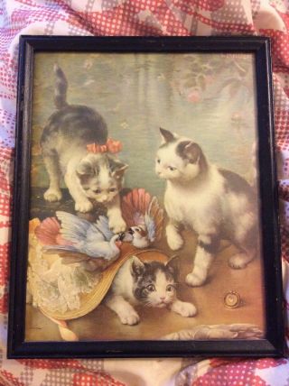 Vintage Framed Carl Reichert Mischievous Kittens Cat Picture 8.  5” X 10.  5”